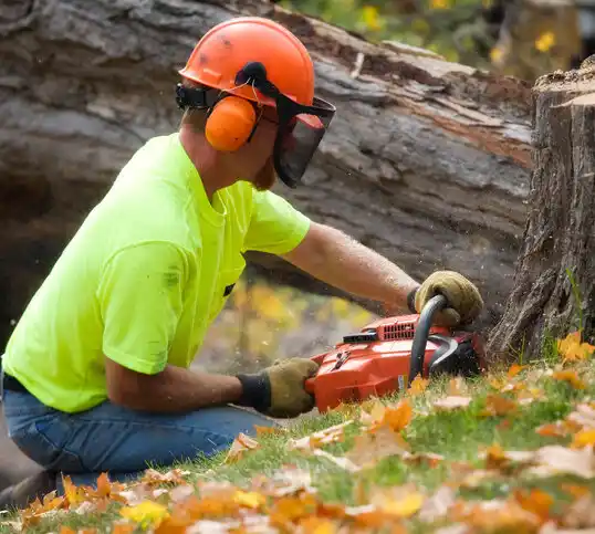 tree services McKee